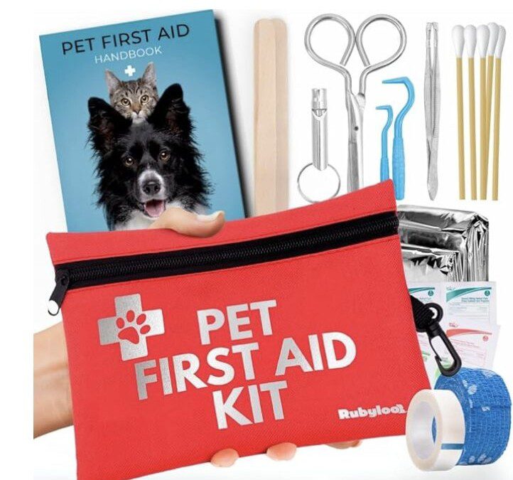 Dog First Aid Kit for Hiking and Travel – Under $20